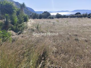 Αγροτεμάχια 5.506 τ.μ. για πώληση
