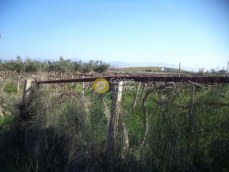 Αγροτεμάχια 1.574τ.μ. για πώληση-Διακοπτό » Ριζόμυλος