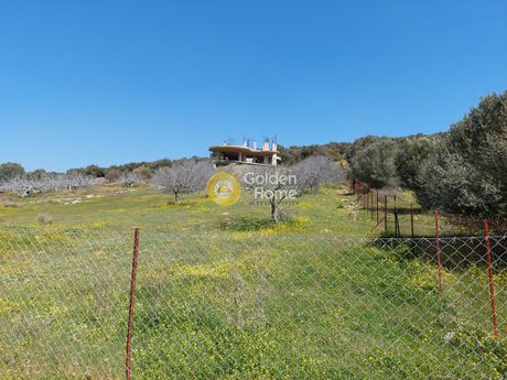 Μονοκατοικία 340τ.μ. για πώληση-Αρτέμιδα (λούτσα) » Βραυρώνα