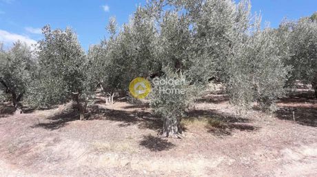 Αγροτεμάχια 1.435τ.μ. για πώληση-Πτελεός » Άγιοι απόστολοι