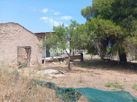 Μονοκατοικία 60τ.μ. για πώληση-Γραμματικό » Κατηφόρι