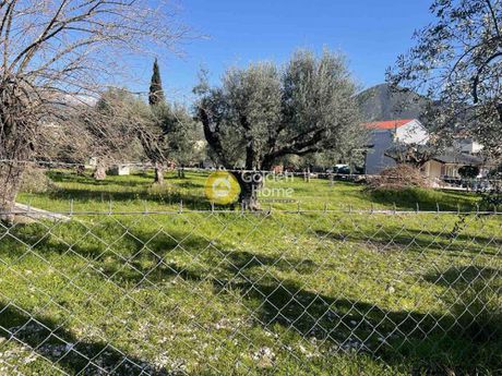 Οικόπεδο 569τ.μ. για πώληση-Μεσσατίδα » Δεμένικα