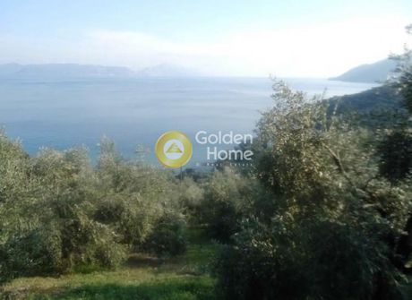 Αγροτεμάχια 12.020τ.μ. για πώληση-Αλμυρός » Ευξεινούπολη