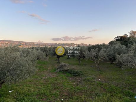 Αγροτεμάχια 5.000τ.μ. για πώληση-Γαργαλιάνοι » Λαγκουβάρδος