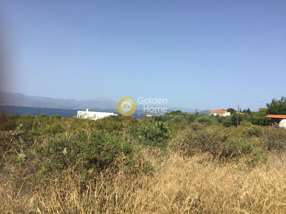 Αγροτεμάχια 3.150 τ.μ. προς πώληση, Δροσιά Ανθηδώνος