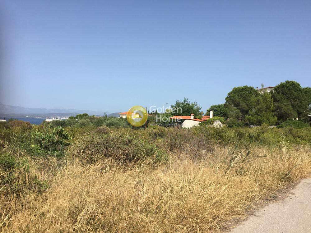 Αγροτεμάχια 3.150 τ.μ. προς πώληση, Δροσιά Ανθηδώνος