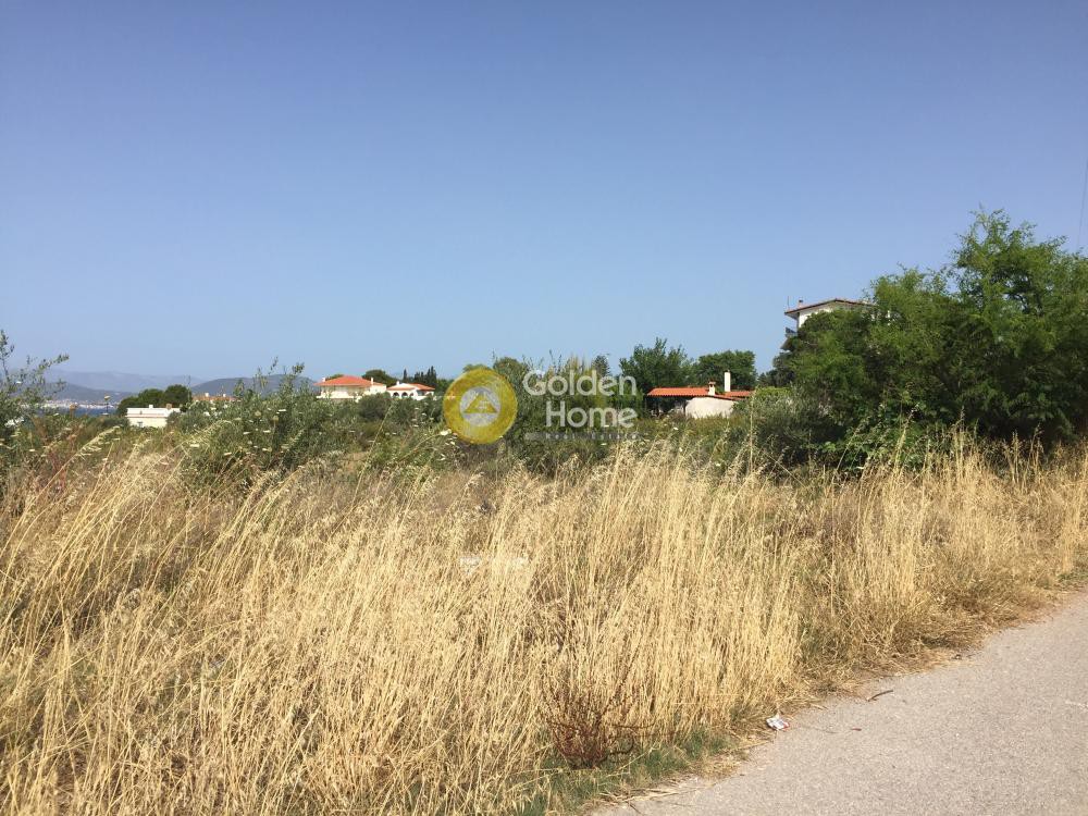 Αγροτεμάχια 3.150 τ.μ. προς πώληση, Δροσιά Ανθηδώνος