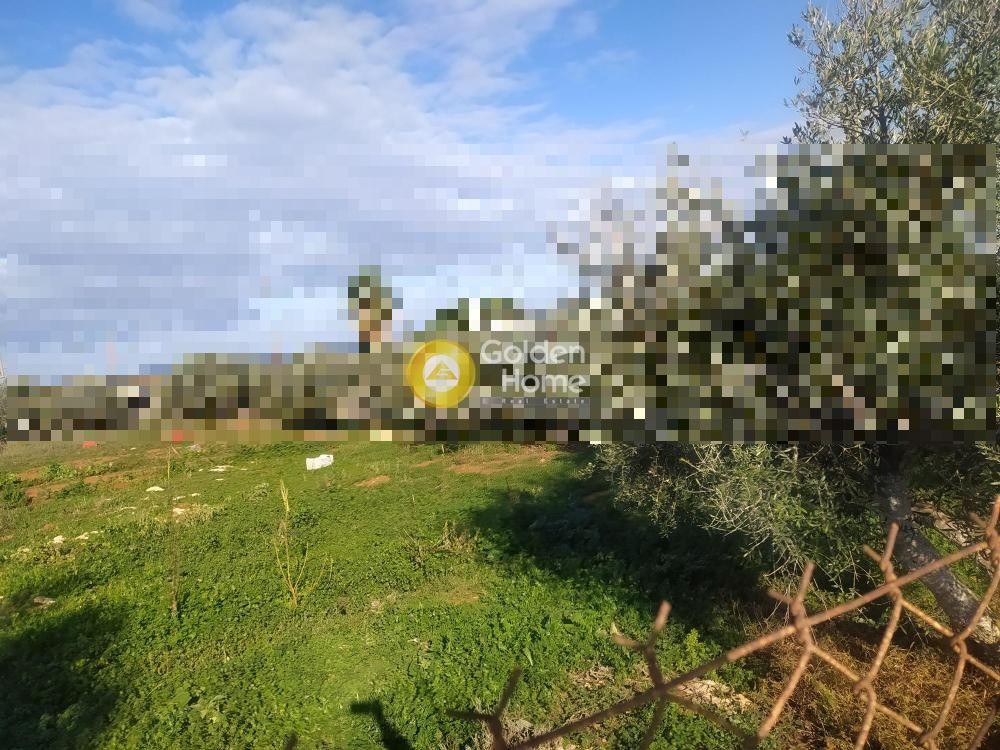 Οικόπεδο 4.266 τ.μ. προς πώληση, Άγιος Ονούφριος Ακρωτηρίου