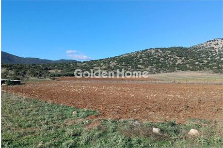 Αγροτεμάχια 8.465τ.μ. για πώληση-Ελασσόνα » Βαλανίδα