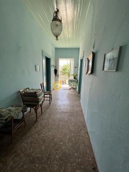 Μονοκατοικία 221τ.μ. για πώληση-Πλάτανος » Κάτω πλάτανος
