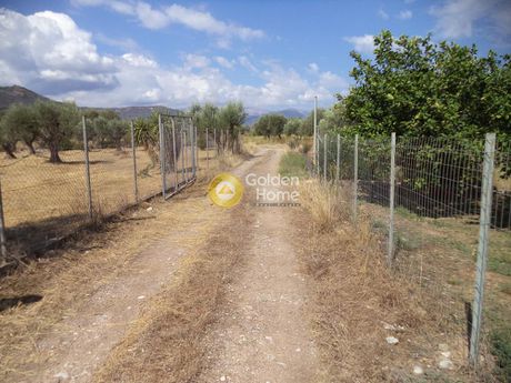 Αγροτεμάχια 4.363τ.μ. για πώληση-Αίγιο » Τέμενη