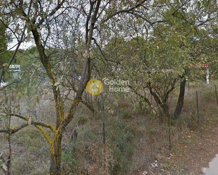 Αγροτεμάχια 344τ.μ. για πώληση-Άνοιξη » Φασιδέρη