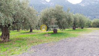 Οικόπεδο 2.281 τ.μ. για πώληση