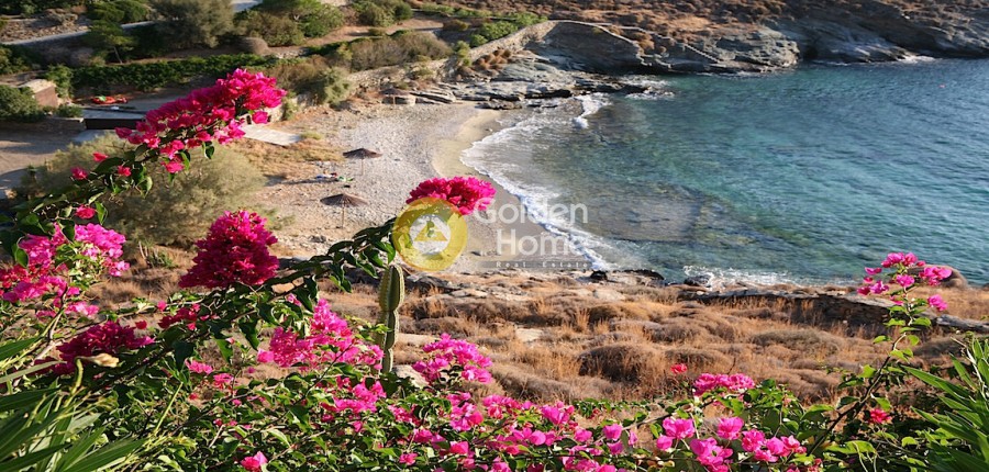 Μονοκατοικία 225 τ.μ. προς πώληση, Πήσσες