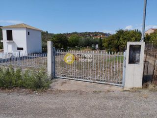 Οικόπεδο 470 τ.μ. για πώληση, Εύβοια, Λιχάδα-thumb-3