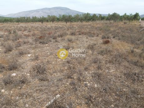 Οικόπεδο 11.500τ.μ. για πώληση-Κερατέα » Αρί