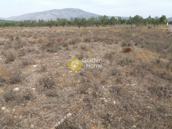 Οικόπεδο 11.500 τ.μ. για πώληση, Αττική - Υπόλοιπο, Κερατέα