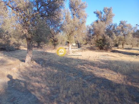 Οικόπεδο 450τ.μ. για πώληση-Τυμπάκι » Κέντρο