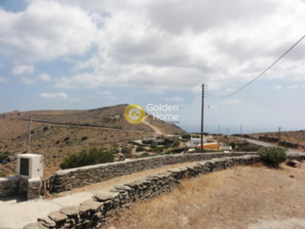 Αγροτεμάχια 11.500 τ.μ. προς πώληση, Σπαθί