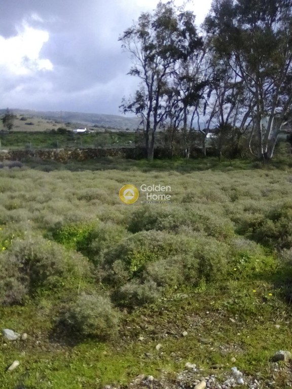 Οικόπεδο 1.001 τ.μ. πρός πώληση, Εύβοια, Μαρμάρι