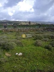 Οικόπεδο 1.001 τ.μ. πρός πώληση, Εύβοια, Μαρμάρι-thumb-5