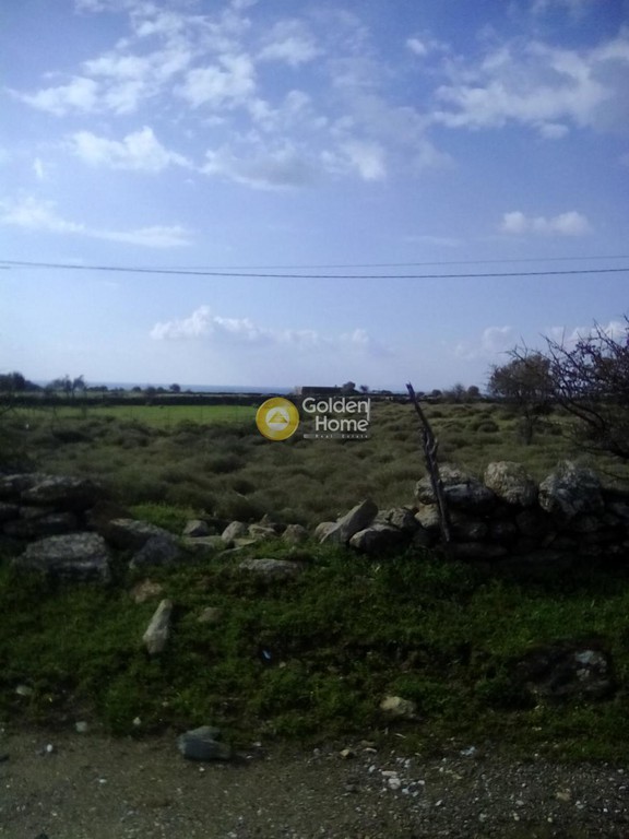 Οικόπεδο 1.001 τ.μ. πρός πώληση, Εύβοια, Μαρμάρι