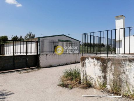 Βιομηχανικός χώρος 1.600τ.μ. για ενοικίαση-Αυλώνα