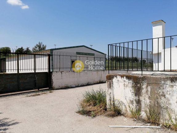 Βιομηχανικός χώρος 1.600 τ.μ. για ενοικίαση, Αττική - Υπόλοιπο, Αυλώνα
