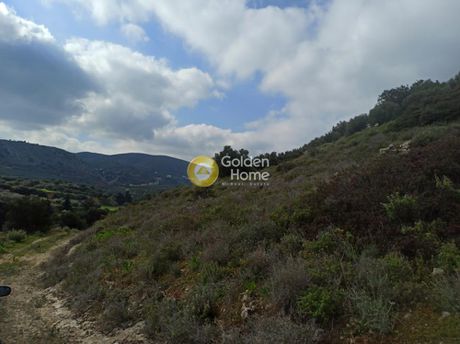 Οικόπεδο 5.600τ.μ. για πώληση-Γούβες » Σκοτεινό