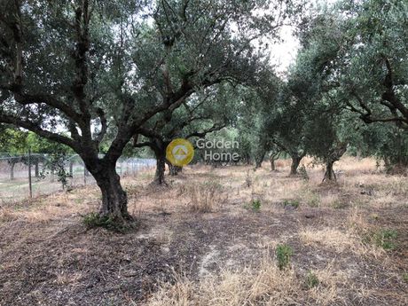 Αγροτεμάχια 1.100τ.μ. για πώληση-Αίπεια » Νερατζιά