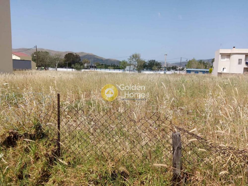 Οικόπεδο 553 τ.μ. προς πώληση, Πηγαδάκια Καρύστου