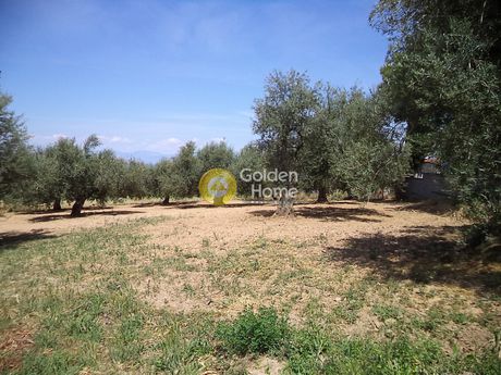 Οικόπεδο 750τ.μ. για πώληση-Ακράτα » Άμπελος