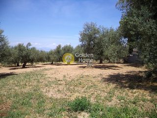 Οικόπεδο 750 τ.μ. για πώληση