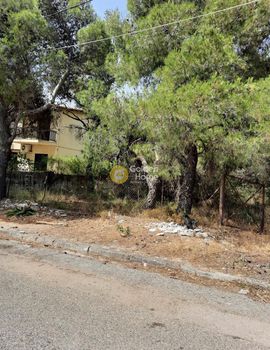 Οικόπεδο 1.002τ.μ. για πώληση-Αχαρνές » Θρακομακεδόνες