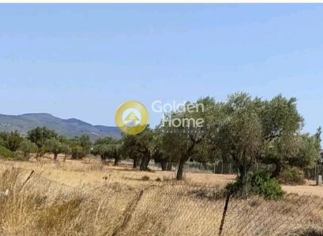 Οικόπεδο 3.500τ.μ. για πώληση-Καλύβια θορικού » Λαγονήσι