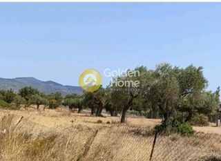 Οικόπεδο 3.500 τ.μ. για πώληση