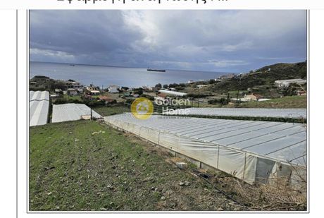 Οικόπεδο 43.000τ.μ. για πώληση-Τυμπάκι » Μάταλα