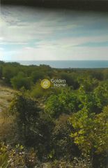 Οικόπεδο 4.121 τ.μ. για πώληση