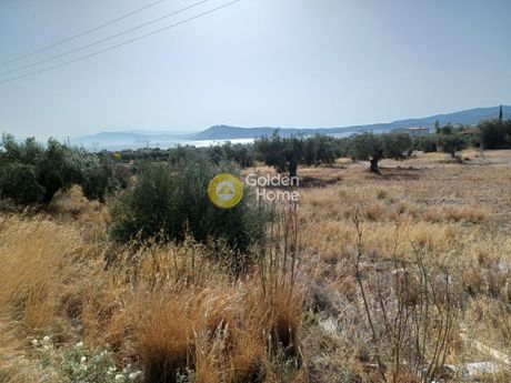 Land plot 2.000sqm for sale-Nea Peramos (Megalo Pefko) » Vlichada