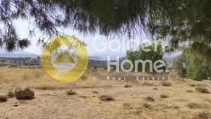 Οικόπεδο 1.485 τ.μ. για πώληση, Ν. Κέρκυρας, Κέρκυρα