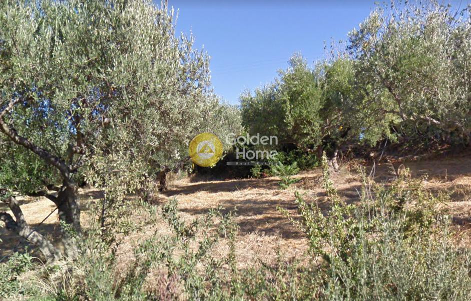 Οικόπεδο 9.400 τ.μ. προς πώληση, Μετόχι Κισσάμου