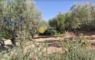 Οικόπεδο 9.400 τ.μ. για πώληση