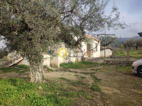 Μονοκατοικία 100τ.μ. για πώληση-Μεσσατίδα » Καλλιθεόκαμπος