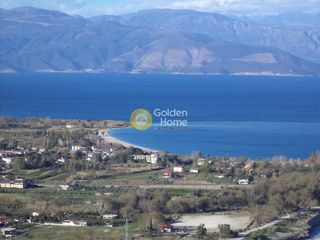Αγροτεμάχια 6.000 τ.μ. για πώληση
