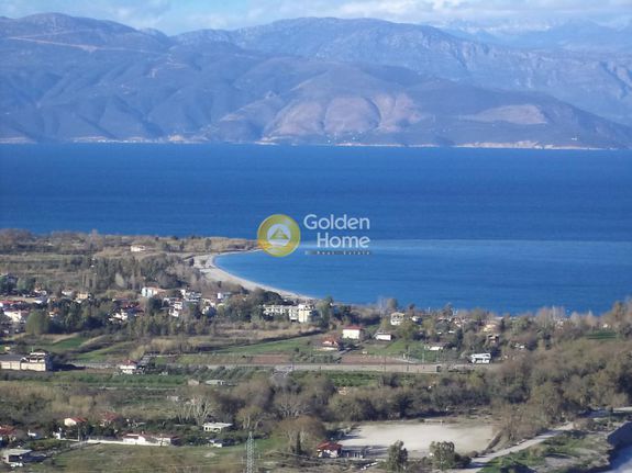 Αγροτεμάχια 6.000 τ.μ. για πώληση, Αχαΐα, Διακοπτό