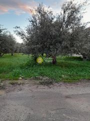 Οικόπεδο 907 τ.μ. για πώληση