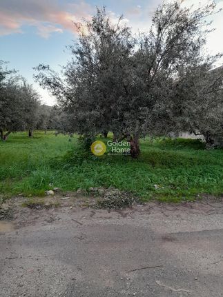 Οικόπεδο 907 τ.μ. για πώληση, Ν. Ηρακλείου, Μοίρες