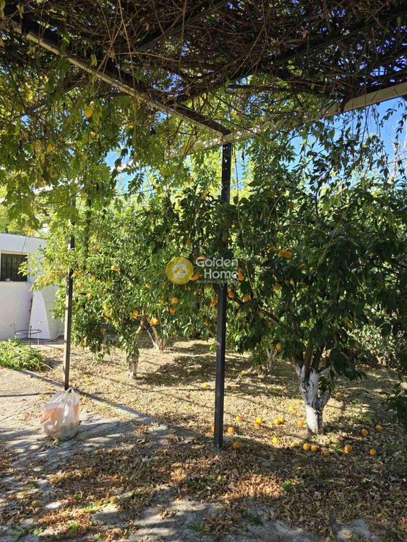 Οικόπεδο 1.035 τ.μ. προς πώληση, Παραλία Πολιτικών