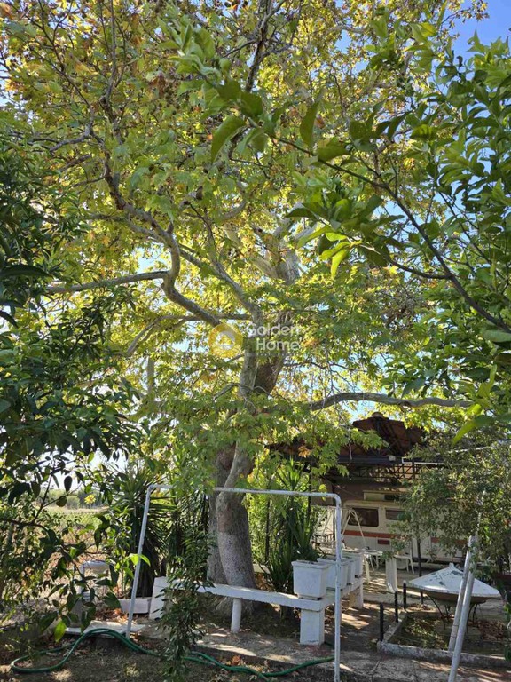 Οικόπεδο 1.035 τ.μ. προς πώληση, Παραλία Πολιτικών