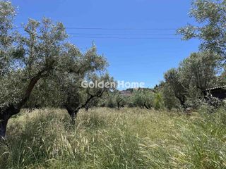 Αγροτεμάχια 740 τ.μ. για πώληση